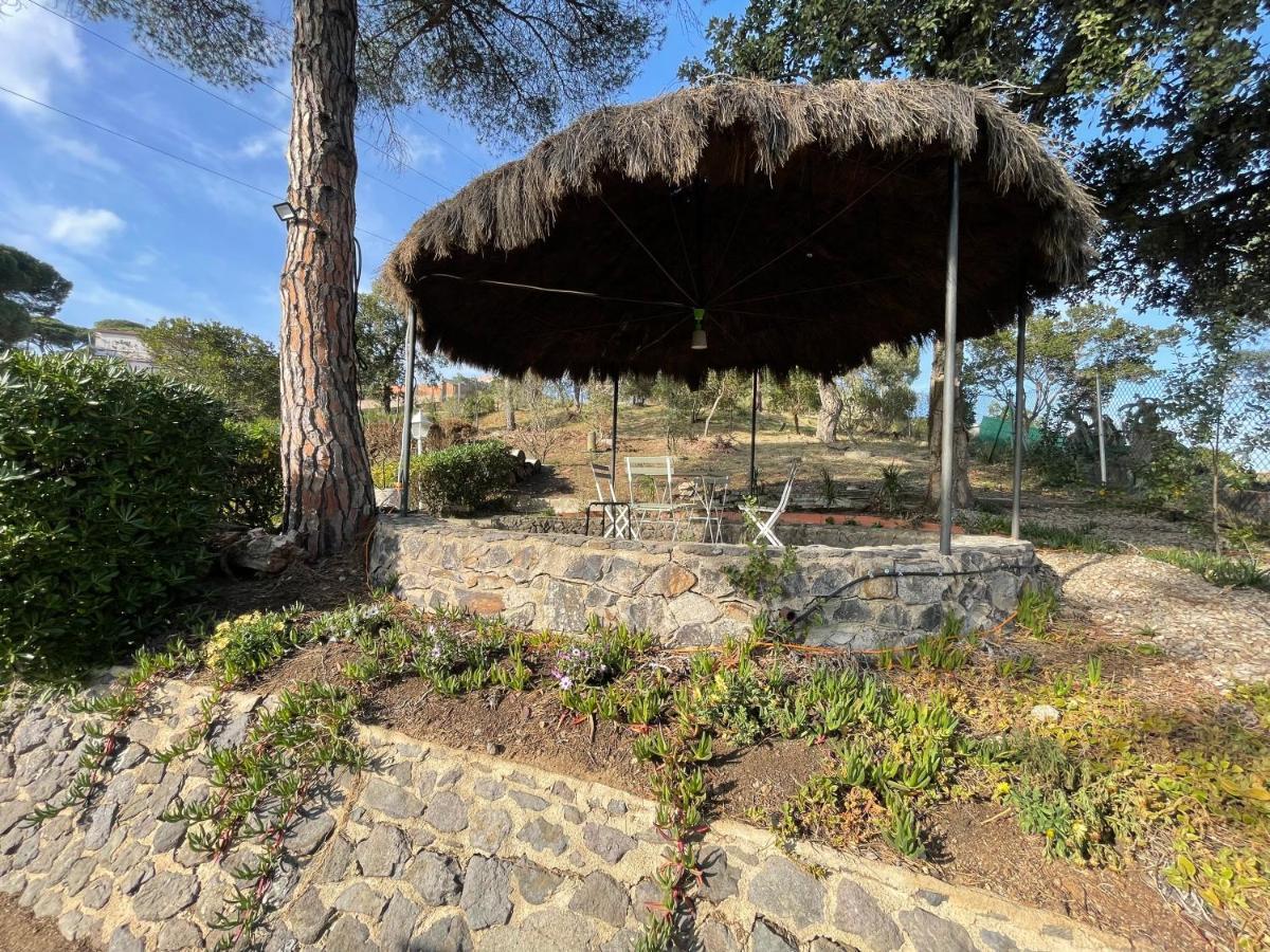 Villa Herlinda Costa Brava - With Swiming Pool Massanet De La Selva Exterior photo